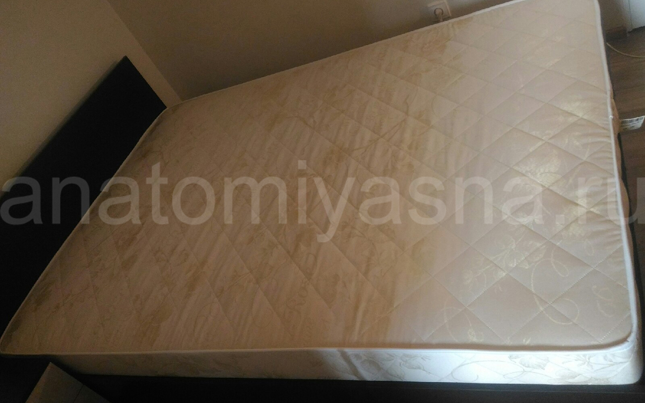 отзыв о Матрас Sontery by Askona Balance Practice фото 3